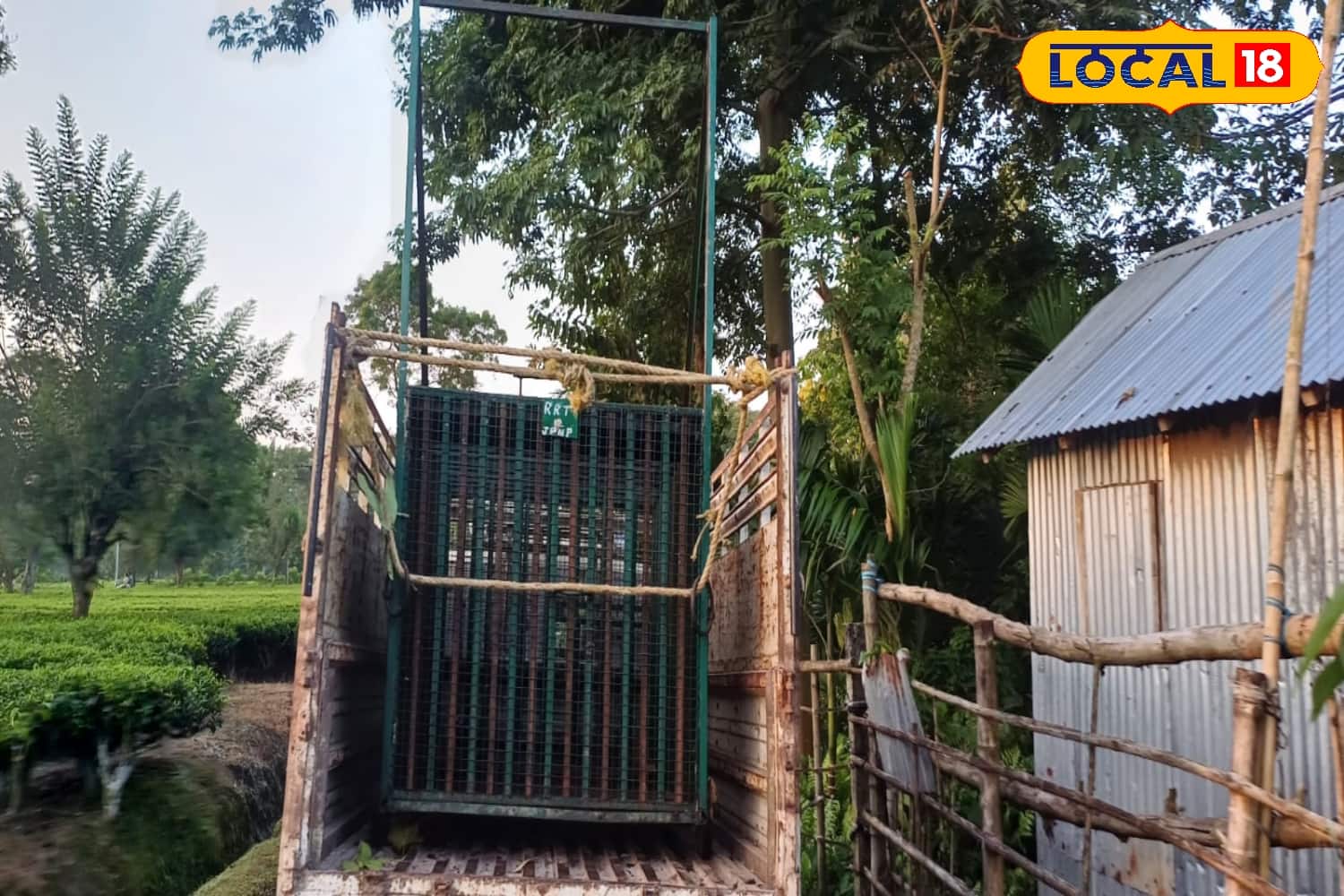 খাঁচা থেকে পালিয়েছে লেপার্ড