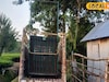 খাঁচাবন্দি লেপার্ড গাড়িতে তুলতে গিয়েই সর্বনাশ! এক নিমেষে ধাঁ