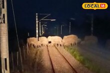 একপাল হাতির প্রাণ যেত, আশঙ্কা ছিল বড় দুর্ঘটনার! দুই সতর্ক চালক সব রুখে দিয়ে এখন 'হিরো'