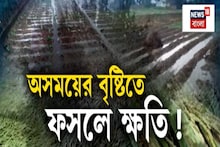 মন্থার ঝাপটায় অসময়ে বৃষ্টি, চাষের জমিতে জল