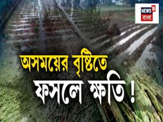 মন্থার ঝাপটায় অসময়ে বৃষ্টি, চাষের জমিতে জল