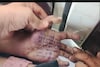 ৫ মাসে চার বার ধর্ষণ করে পুলিশ অফিসার!মহারাষ্ট্রের সরকারি হাসপাতালে আত্মঘাতী তরুণী চিকিৎসক