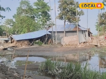 বন্যায়