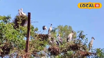 মালদহের