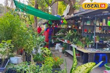Tree Market: নিত্যনতুন গাছ লাগানোর শখ? 'এই' গাছ বাজার থেকে সুলভ মূল্যে কিনুন ফুল-ফল-বাহারি গাছ! দাম মাত্র ১০ টাকা থেকে শুরু