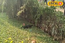 পুকুর থেকে পচা দুর্গন্ধ! কাছে যেতেই আঁতকে ওঠা দৃশ্য