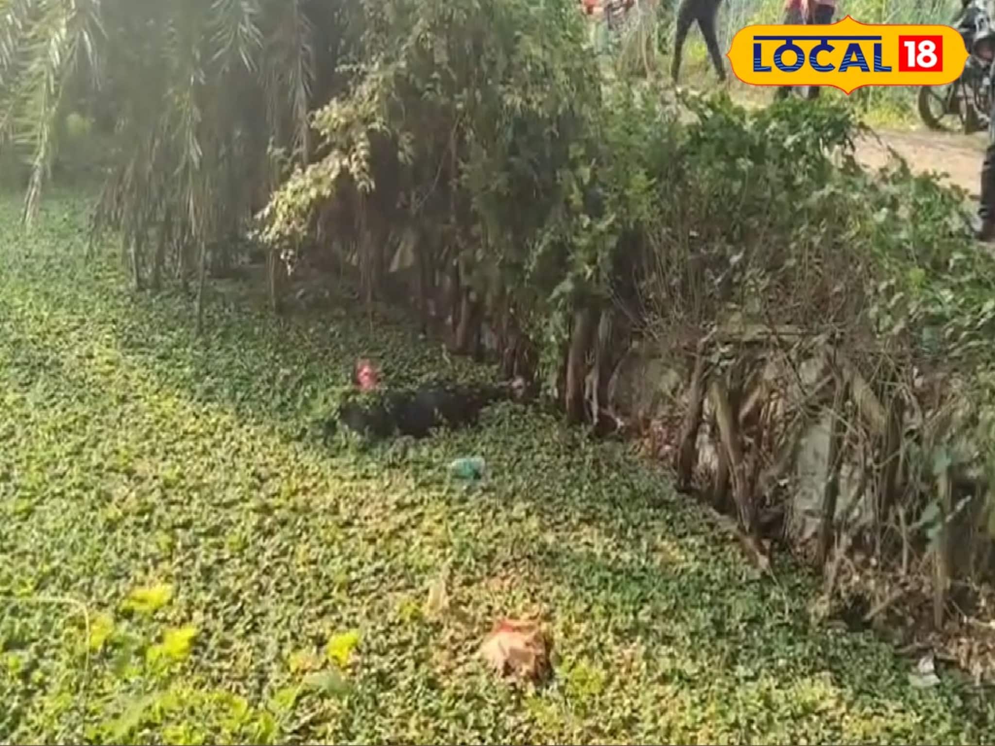 পুকুর থেকে পচা দুর্গন্ধ! কাছে যেতেই আঁতকে ওঠা দৃশ্য