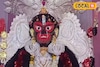 মা কালীর চার বোন একই গ্রামে পূজিত হন! জানুন কালীগ্রামের 'কালী কথা'