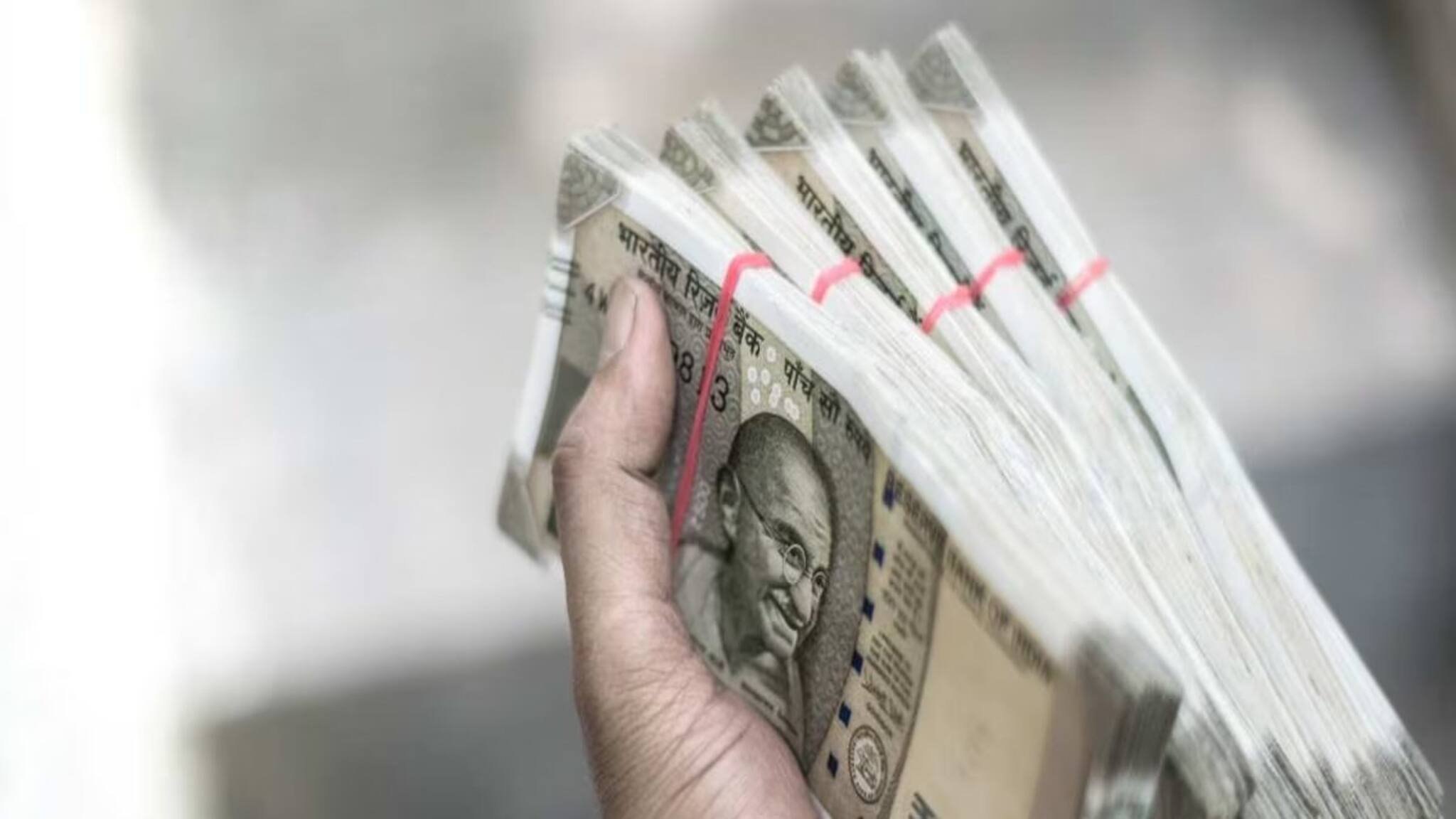 ঘরে বসে আয় হবে লাখ লাখ টাকা! অল্প খরচেই নিজের বাড়িতেই করুন এই চাষ