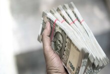 ঘরে বসে আয় হবে লাখ লাখ টাকা! অল্প খরচেই নিজের বাড়িতেই করুন এই চাষ