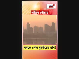 বাজির ধোঁয়ায় বদলে গেল মুম্বইয়ের ছবি!