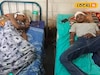 দুই ভাইপোকে ধারালো অস্ত্রের কো*প কাকার! বাবাকে বাঁচাতে গিয়ে গুরুতর আহত ছেলেরা