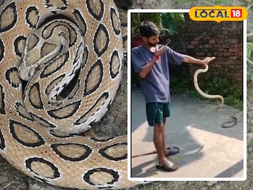 চন্দ্রবোড়া