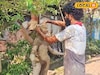 কালীপুজোর আগে বিপাকে মৃৎশিল্পীরা! সঠিক সময়ে প্রতিমা তৈরি হবে তো?