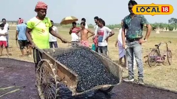 প্লাস্টিক