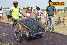 Eco Friendly Road: বিদেশের ধাঁচে নদিয়ায় প্রথম পরিবেশবান্ধব রাস্তা! শান্তিপুরে শুরু হয়ে গেল কাজ, উৎসবের মরশুমে জেলাবাসীর জন্য 'উপহার'