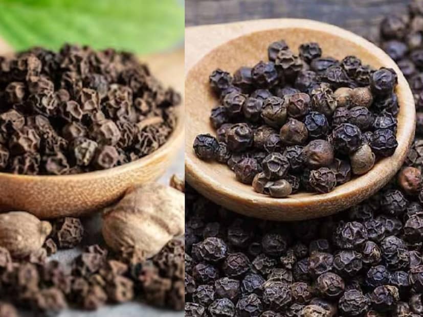 রান্নাঘরে অসংখ্য মশলা থাকে, যার প্রতিটিরই আলাদা আলাদা বৈশিষ্ট্য রয়েছে। সেগুলির মধ্যে গোলমরিচের কথা বলতে গেলে, এর অলৌকিক উপকারিতা অবাক করার মতো। এতে পাইপেরিন এবং অ্যান্টিঅক্সিডেন্টের মতো উপাদান রয়েছে, যা হজম, ওজন, রোগ প্রতিরোধ ক্ষমতা এবং সর্দি-কাশির মতো বিভিন্ন রোগের জন্য অত্যন্ত উপকারী।