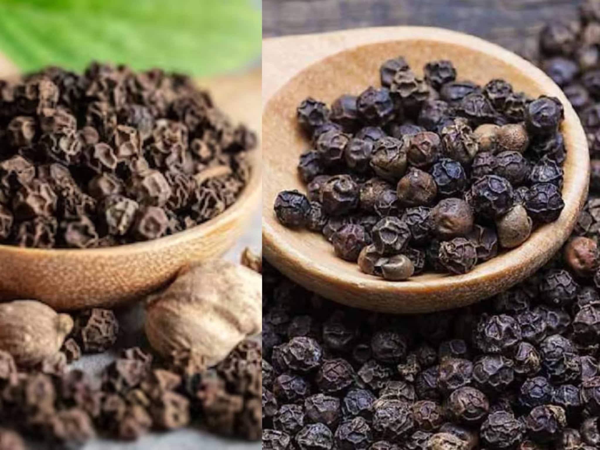 Black Pepper (Gol Morich) Side Effects: ফোঁপড়া শরীরের বারোটা বাজবে! গোলমরিচ জিভেই ছোঁয়াবেন না এঁরা! জানুন কাদের এই মশলা খেলে বড় ক্ষতি!