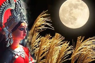 ৫ টি কড়ি দিয়ে কোজাগরী লক্ষ্মীপুজোয় ১ টি ছোট্ট কাজ! ক্যাশবাক্সে হু হু করে ঢুকবে টাকা!