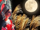 ৫ টি কড়ি দিয়ে কোজাগরী লক্ষ্মীপুজোয় ১ টি ছোট্ট কাজ! ক্যাশবাক্সে হু হু করে ঢুকবে টাকা!