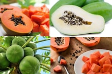 Papaya Side Effects: কাঁচা হোক বা পাকা! এই ৩ জনের জন্য পেঁপে ক্ষতির আড়ত! জানুন কারা ভুলেও দাঁতে কাটবেন না এই উপকারী ফল!