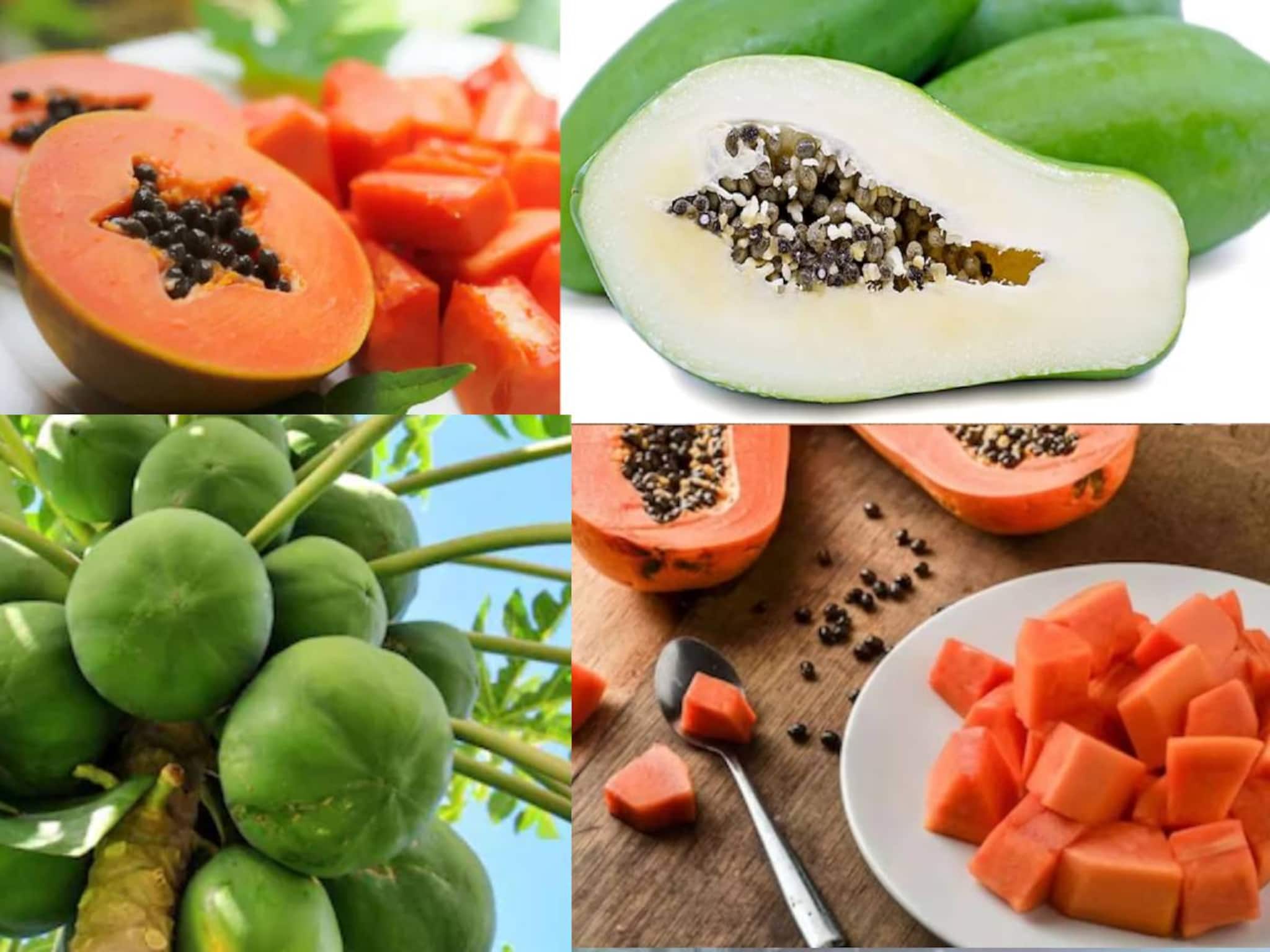 Papaya Side Effects: কাঁচা হোক বা পাকা! এই ৩ জনের জন্য পেঁপে ক্ষতির আড়ত! জানুন কারা ভুলেও দাঁতে কাটবেন না এই উপকারী ফল!