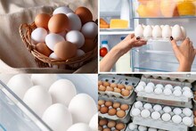 ফ্রিজের এখানে ডিম রাখলেই চরম সর্বনাশ! ফ্রিজের বাইরে কোথায় কীভাবে রাখলে পচবে না ডিম?