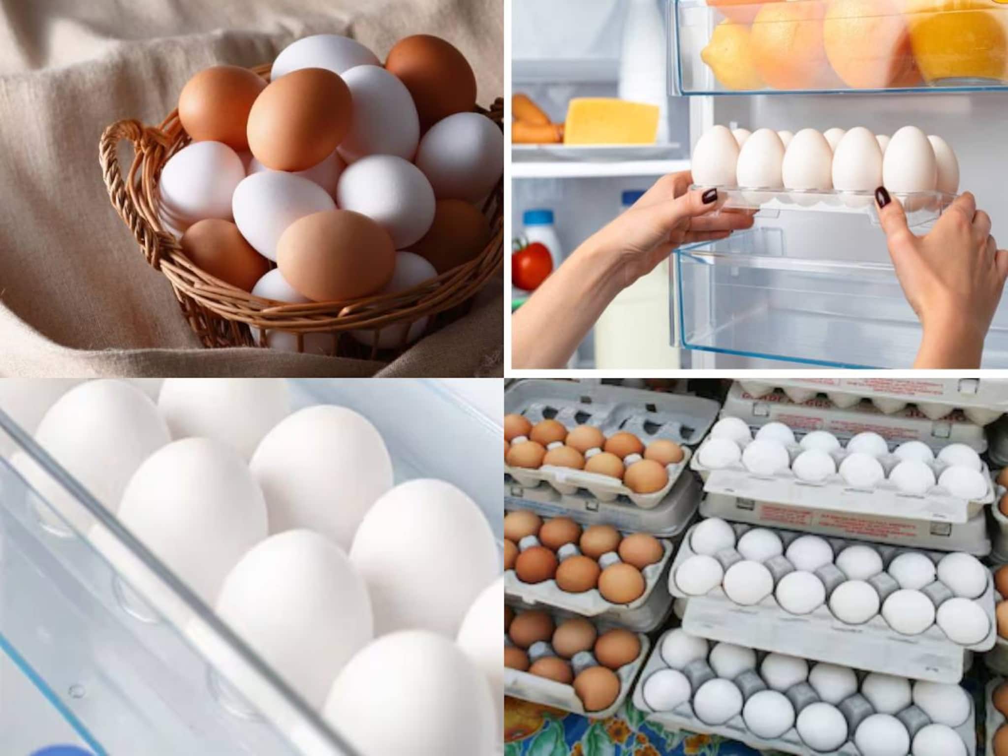 Egg in Refrigerator: ফ্রিজের এখানে ডিম রাখলেই চরম সর্বনাশ! ফ্রিজের বাইরে কোথায় কীভাবে রাখলে পচবে না ডিম? জানুন
