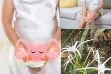 White Discharge Cure Tips: কয়েক ফোঁটাতেই মহিলাদের মুক্তি সাদা স্রাবের কষ্ট থেকে! হাঁটুতে বাতের যন্ত্রণার ছুটি! অবহেলার এই সাদা ফুল আর লম্বা পাতা লাভের সিন্দুক!
