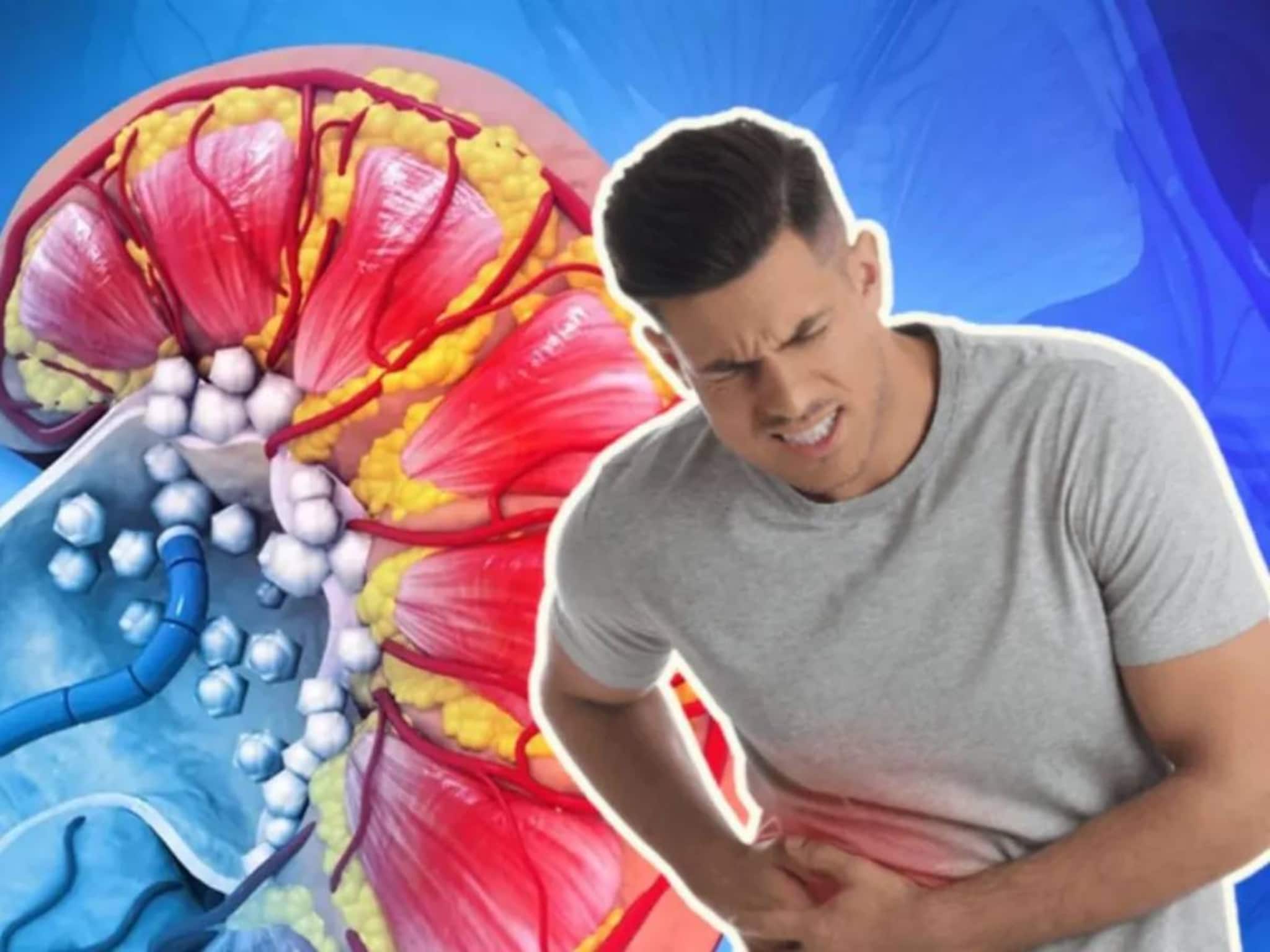 Kidney Disease Symptoms: কিডনি খারাপ হওয়ার ‘৭’ লক্ষণ কী কী? ছুঁয়েও দেখবেন না এই ‘৩’ খাবার! তিলে তিলে ফুটিফাটা হবে কিডনি!