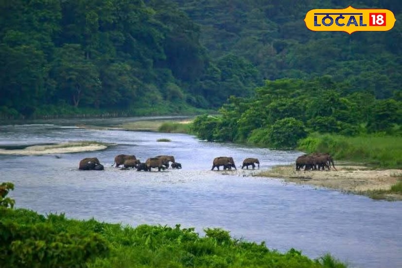 ডুয়ার্সের আকাশ পরিষ্কার। গত চব্বিশ ঘন্টায় সর্বোচ্চ তাপমাত্রা ছিল ৩১ডিগ্রি সেলসিয়াস। সর্বনিম্ন তাপমাত্রা ২০ ডিগ্রি সেলসিয়াস। আলিপুরদুয়ারেও ঝাঁ চকচকে আকাশ।  সর্বনিম্ন তারমাত্রা ২৪ ডিগ্রি সেলসিয়াস।