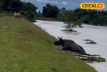 Rhino Struggling in River: নদীর জলে ভেসে গেল গণ্ডার, প্রাণ বাঁচাতে যা করল..! হু হু করে ভাইরাল ভিডিও, এক ক্লিকে দেখুন