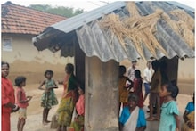 পুরুলিয়ার কাশীপুর ব্লকের কালিদহ গ্রামে শিয়ালের তাণ্ডবে চরম আতঙ্ক