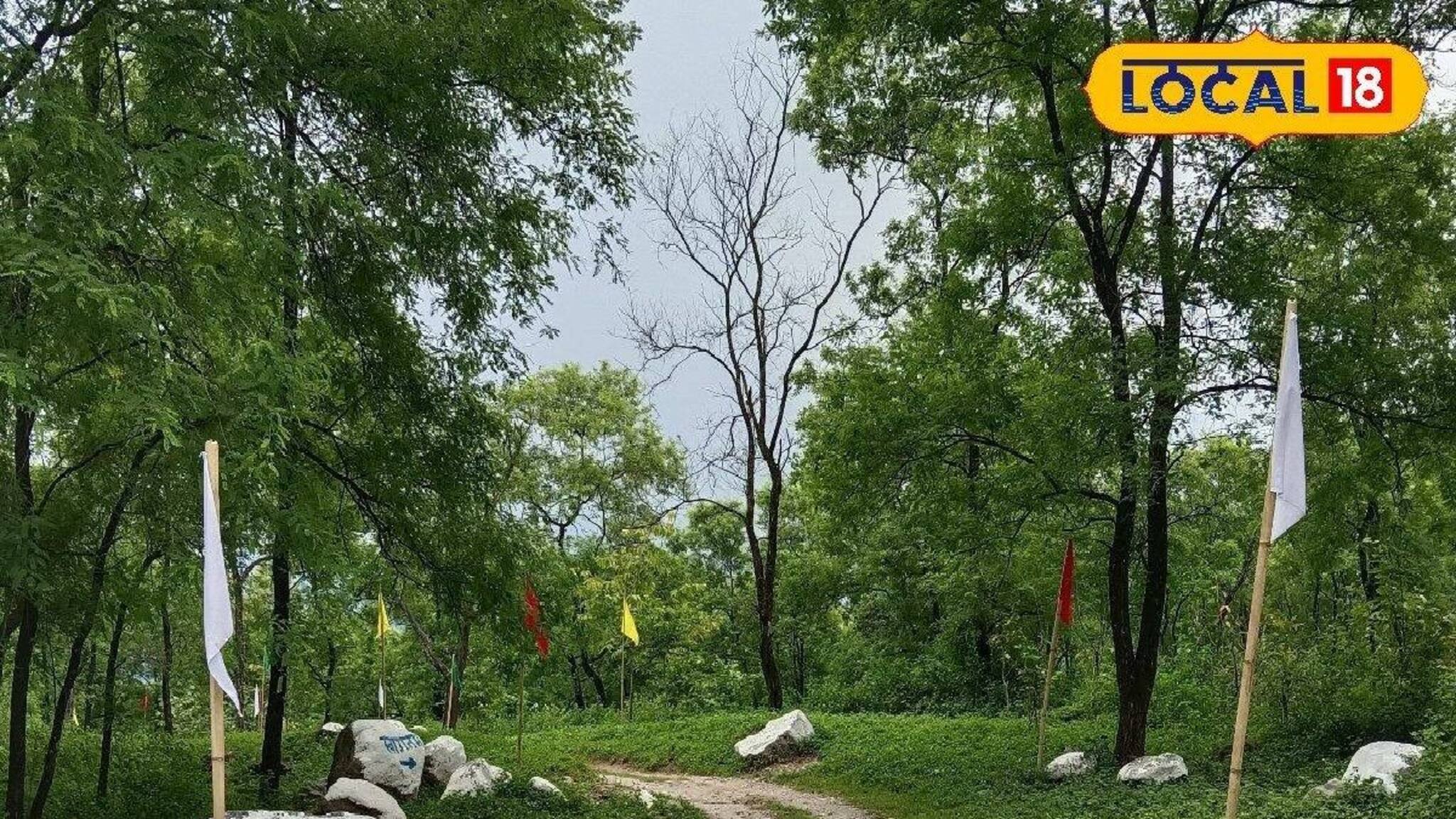 মিরিকের পথে পর্যটকদের প্রিয় ডেস্টিনেশনের বিধ্বস্ত দশা!