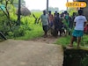 শূকর মারার ফাঁদে পড়ে ছটফটানি! ঝলসে গেলেন বৃদ্ধ