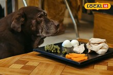 Pet Friendly Restaurant: রাজ্যে প্রথম, পোষ্যকে সঙ্গে নিয়েই জমিয়ে হবে ভুরিভোজ! কোথায় চালু হল এমন রেস্টুরেন্ট