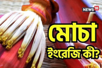 স্বাস্থ্যের জন্য খুবই উপকারী! কিন্তু মোচার ইংরেজি জানে না অনেকেই! বলুন তো দেখি
