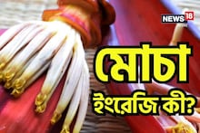 GK: স্বাস্থ্যের জন্য খুবই উপকারী! কিন্তু মোচার ইংরেজি জানে না অনেকেই! বলুন তো দেখি