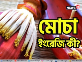 স্বাস্থ্যের জন্য খুবই উপকারী! কিন্তু মোচার ইংরেজি জানে না অনেকেই! বলুন তো দেখি