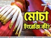 স্বাস্থ্যের জন্য খুবই উপকারী! কিন্তু মোচার ইংরেজি জানে না অনেকেই! বলুন তো দেখি
