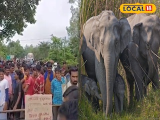 হাতির তাণ্ডবে অতিষ্ঠ হয়ে পথ অবরোধ হাতির তাণ্ডবে অতিষ্ঠ হয়ে পথ অবরোধ