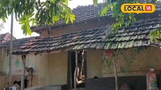 কালীপুজার রাতে ডাইনি অপবাদে মহিলাকে খুন 