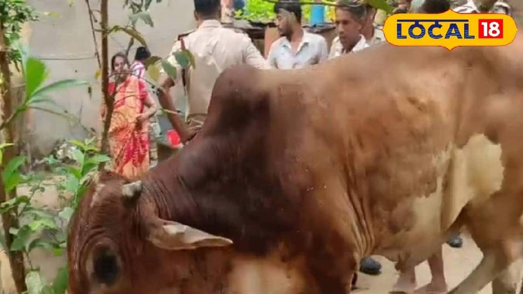 বীরভূমে রুদ্ধশ্বাস অভিযান! দমকল-গ্রামবাসীর যৌথ প্রচেষ্টায় নতুন জীবন পেল অবলা প্রাণী