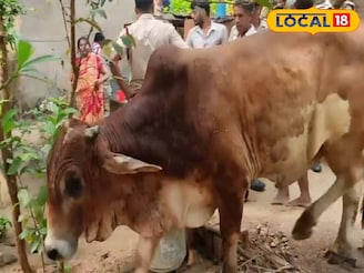 বীরভূমে রুদ্ধশ্বাস অভিযান! দমকল-গ্রামবাসীর যৌথ প্রচেষ্টায় নতুন জীবন পেল অবলা প্রাণী