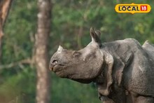 Alipurduar: দুর্যোগ কাটিয়ে সেরে উঠছে উত্তরবঙ্গ! এরই মাঝে জলদাপাড়ায় আহত গণ্ডারের খোঁজ, গাছের নীচে...! কীভাবে প্রাপ্তবয়স্কের পায়ে চোট?