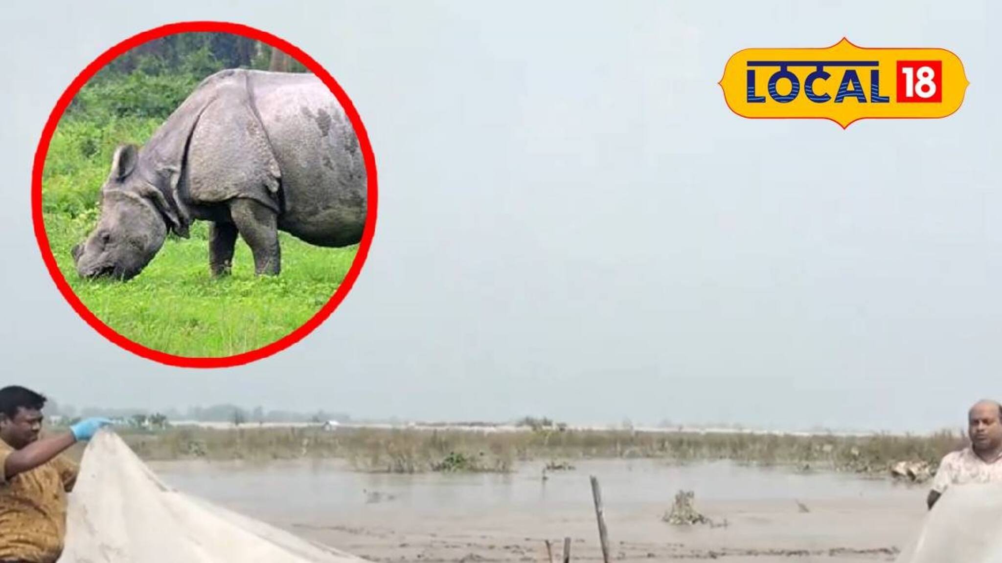 উত্তরবঙ্গ বিপর্যয়ের শিকার! বাংলাদেশ থেকে উদ্ধার ভারতের গণ্ডারের মৃতদেহ