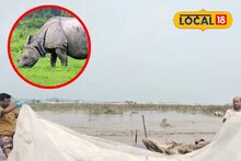 Rhino Death: উত্তরবঙ্গ বিপর্যয়ের শিকার! বাংলাদেশ থেকে উদ্ধার ভারতের গণ্ডারের মৃতদেহ, বাড়ছে বন দফতরের চিন্তা