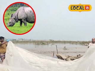 গণ্ডারের মৃতদেহ উদ্ধার | বক্সে প্রতীকী ছবি
