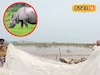 উত্তরবঙ্গ বিপর্যয়ের শিকার! বাংলাদেশ থেকে উদ্ধার ভারতের গণ্ডারের মৃতদেহ