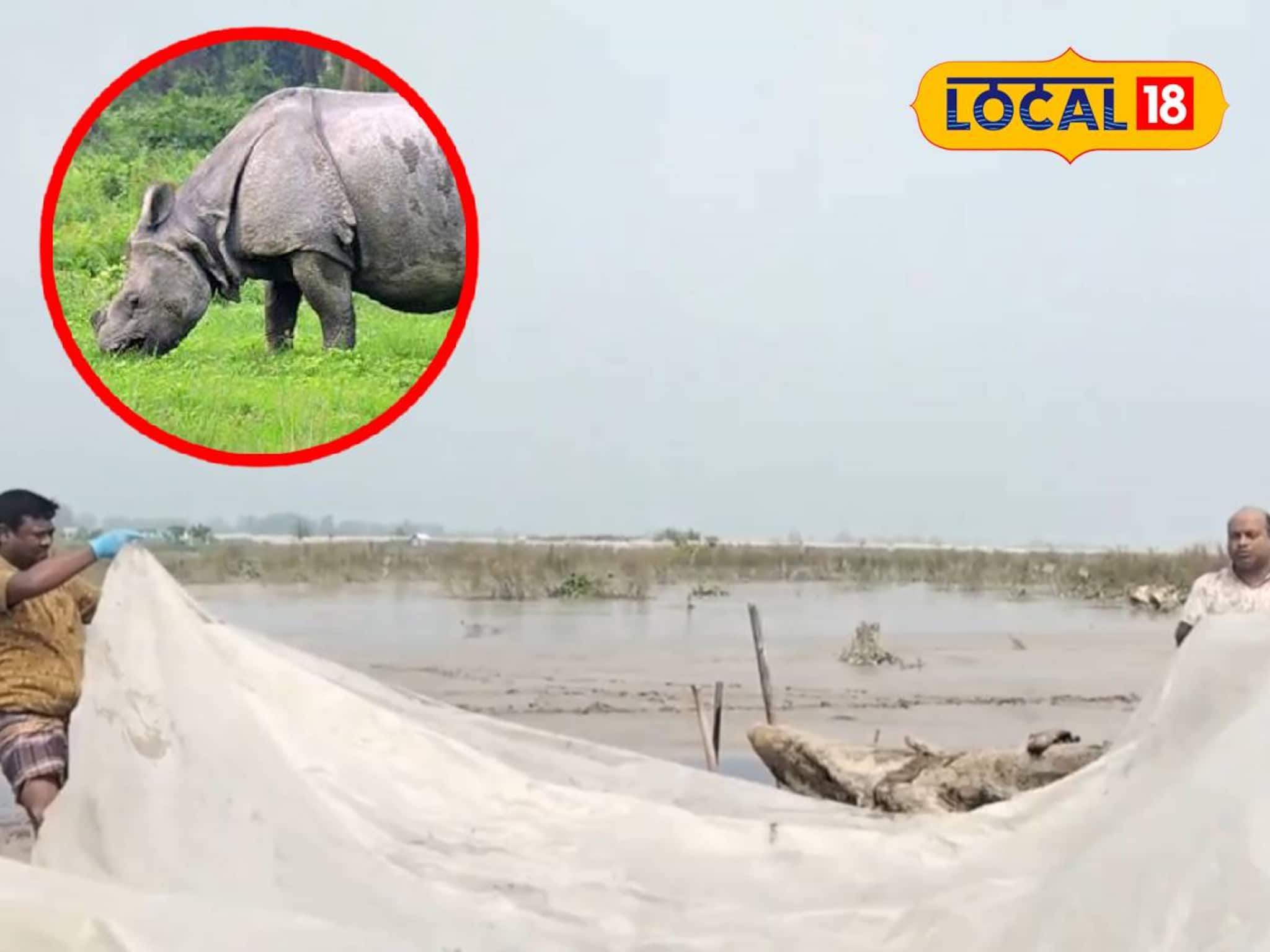 Rhino Death: উত্তরবঙ্গ বিপর্যয়ের শিকার! বাংলাদেশ থেকে উদ্ধার ভারতের গণ্ডারের মৃতদেহ, বাড়ছে বন দফতরের চিন্তা